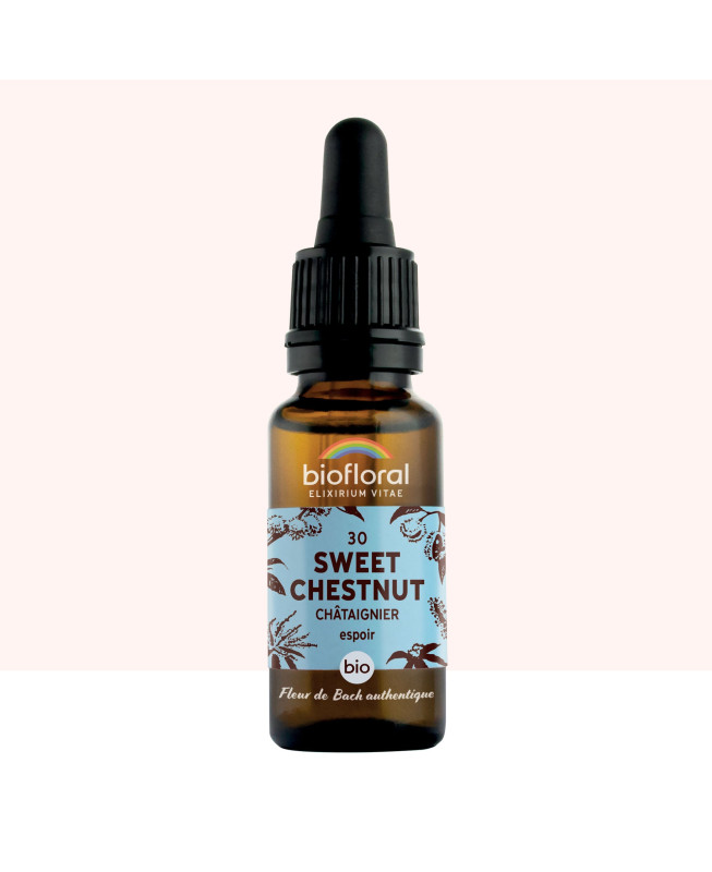 Fleur de Bach Authentique- Sweet Chestnut (Châtaignier) n 30 biofloral