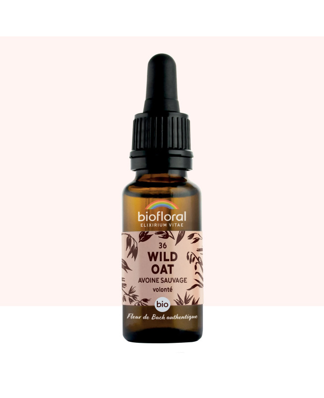 Fleur de Bach Authentique- Wild Oat (Avoine Sauvage) n 36 biofloral