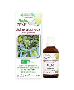 Phyto GEM Aulne glutineux