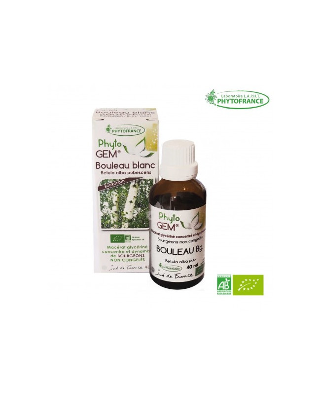 Phyto GEM Bouleau blanc