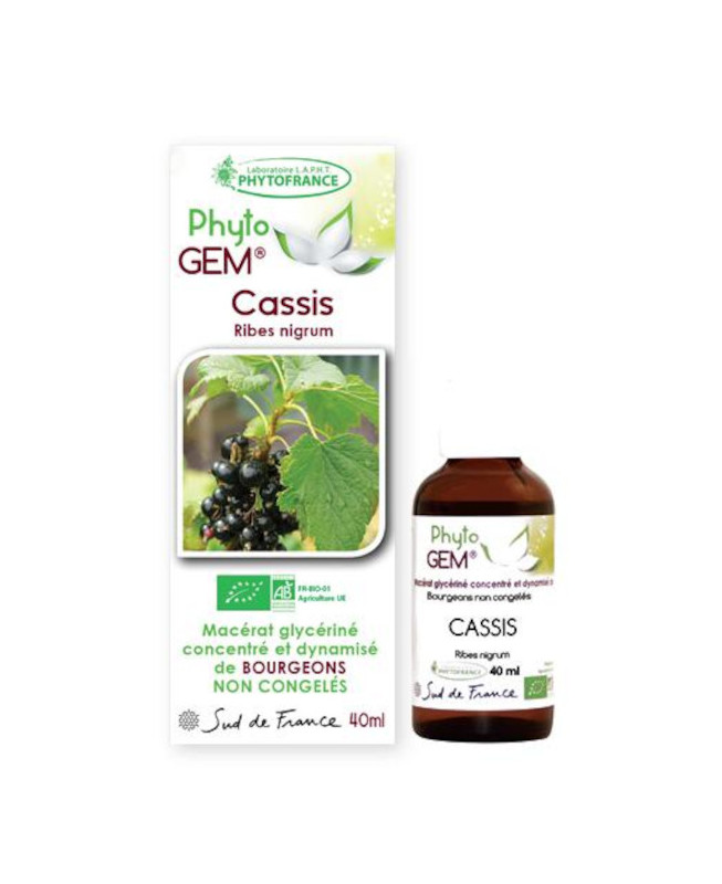 Phyto GEM Cassis