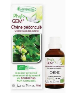 Phyto GEM Chêne pédonculé