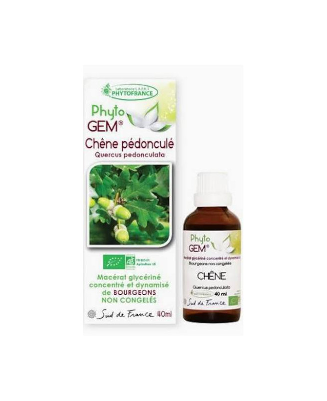 Phyto GEM Chêne pédonculé