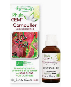 Phyto GEM Cornouiller