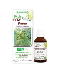 Phyto GEM Frêne