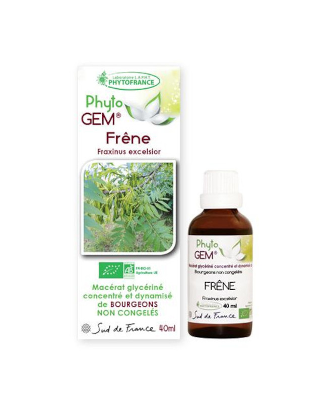 Phyto GEM Frêne