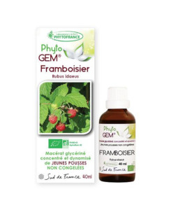 Phyto GEM  Framboisier