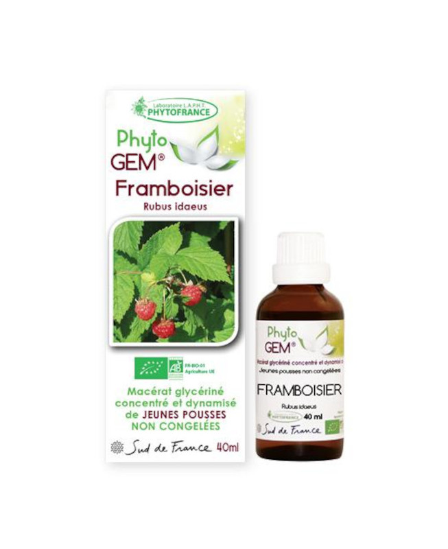 Phyto GEM  Framboisier