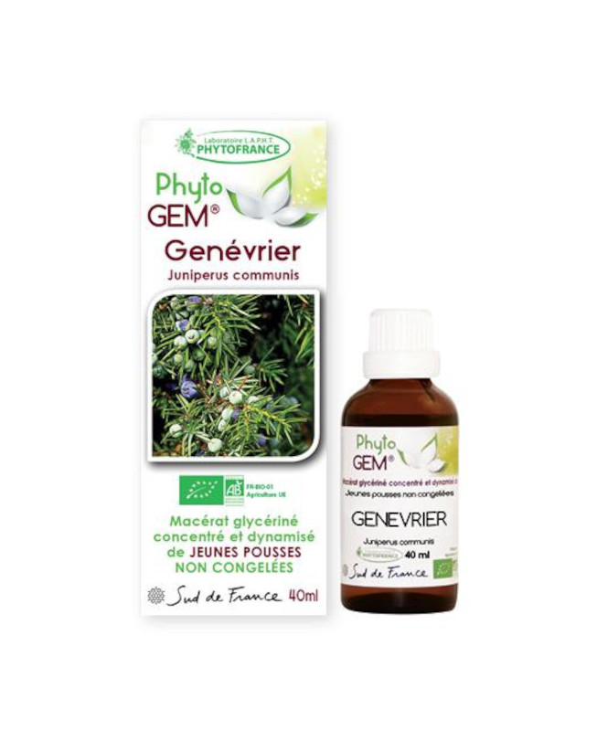 Phyto GEM Genévrier